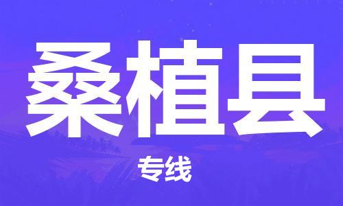 廣州到桑植縣物流公司|廣州至桑植縣貨運(yùn)專線
